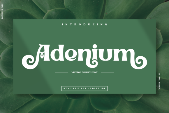 Adenium Display Font for Handmade Creators